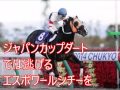 ホッコータルマエ 2013年 東京大賞典