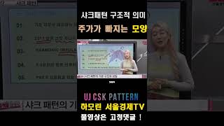 샤크 패턴 구조의 의미 : 주가가 빠지는 모양 예시 #서울경제tv #하모닉패턴 #매매기법