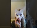 my first ever therian mask pt 1 !  #therianthropy #therian #fypシ #fyp #mask #therianmask #arcticfox