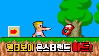 드디어 해봅니다! - 원더보이 몬스터랜드 하드 난이도(원코인)