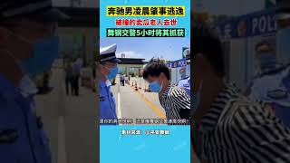 6月20日河南舞钢，奔驰男凌晨肇事逃逸，被撞的卖瓜老人去世，舞钢交警5小时后将其抓获。