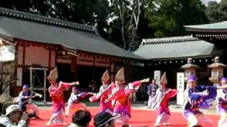 京都さくらよさこい2010　十人十彩（霊山護国神社会場）