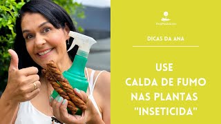 DICAS PRÁTICAS DA ANA: Como fazer calda de fumo e para que serve?