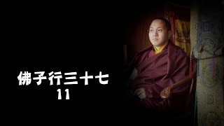 觀照別人不如看好自己？Pawo Rinpoche佛子行37 (11) 巴沃仁波切講授 l 中文字幕