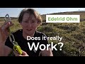 Edelrid Ohm Review: The Game Changer for heavy climbers