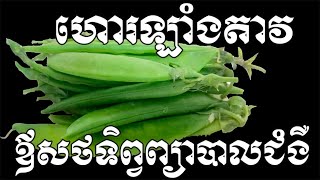 សណ្តែកខៀវ​ហរ​ឡាំង​តាវគុណប្រយោជន៏ដ៏អស្ចារ្យនិងជាឱសថបុរាណព្យាបាលជំងឺយ៉ាងមានប្រសិទ្ធភាព - Health Inform