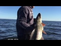 spring fishing madness insane pike fishing in sweden