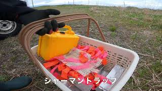 【♯3 捕獲作業ルーティン】過酷！トウキョウトガリネズミへの道