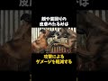 四国生まれの闘犬がヤバい shorts