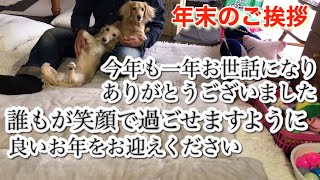 年末のご挨拶【ミニチュアダックスフンド多頭飼い】