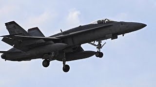 厚木基地の空-405 '17/12/2 (VMFA-242 DT Bats1 機はWTのまま!)