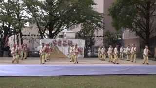 ネットでよさこい東海道 沼津よさこい東海道2013 前日祭 中央公園 mususukunjp