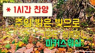 (1시간찬양)  주의 밝은 빛으로 - 마커스워십 (인도: 심종호) [일상찬양]