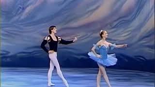 Grand Pas Classique pas de deux Kyiv ballet Stars Valery Kovtun Tatiana Tayakina [360p]