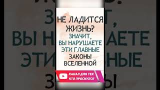 Законы Вселенной. Инструкция к счастливой жизни #аудиокнига  #законы #шейкин  #коны #эзотерика