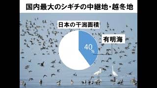 有明海の3つのラムサール条約登録地　中村さやか