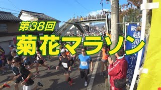 第38回菊花マラソン（2kmファミリーの部）