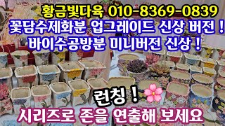 다육이 화분 쇼핑 🛍 (25.2.18.)황금빛다육 010-8369-0839 꽃담수제화분 바이수공방분 신상 업그레이드 버전🌸깔끔한 디자인 존!!