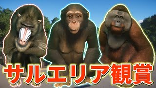 【Planet Zoo】サルエリアを振り返ろう！【動物園を作ろう！#50】