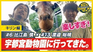 【宇都宮ブレックス】プロバスケ選手が動物園で飼育員体験！～楽しすぎ！キリン編～