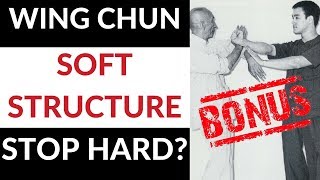Wing Chun - Can "Soft" Structure Really Stop Hard & Powerful Attacks