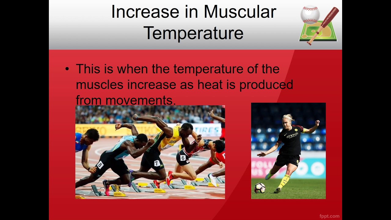 (Easy GCSE PE Tutorial) Learn The Short Term Effects Of Exercise - YouTube