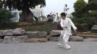 Yang's style taichi(Fast movement)