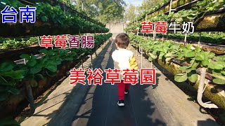 【寶寶嬉遊記】【台南:美裕草莓園】來錯時間點沒得採 × 草莓小時候 × 參觀草莓園