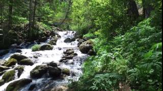 4K Pınargözü YenişarbademIi Isparta