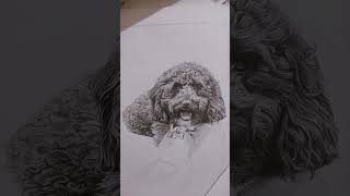 Dog Realistic Drawing 😳🔥 (how to draw) #dog #drawing #art #shorts #short #how