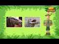 save the colour changing chameleon 😱 exotic reptiles leo the wildlife ranger kids cartoons