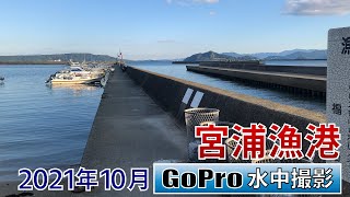 宮浦漁港でGoPro沈めてみた