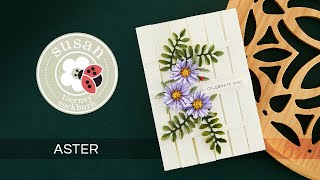 Aster with Susan | Birds & Bees Garden Collection