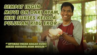 Cara Jitu Efisiensi Pakan Ayam Broiler, Bisa Untung Berlipat!