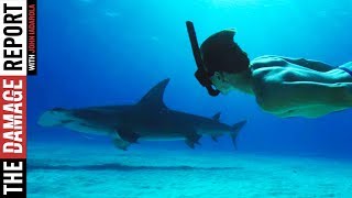 Sharkwater Extinction Will Shock You