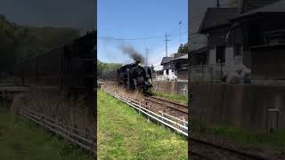 【絶気惰行】真岡鉄道C11325