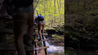 SCENIC PENNSYLVANIA - The Ketchum Run Gorge - Loyalsock State Forest 🌲🌲 coming soon...