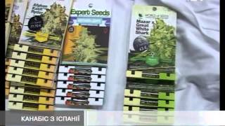 Львівські митники знайшли коноплі на 27 тисяч євро