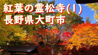 大町散策｜(1)【仁科十八番】霊松寺（れいしょうじ）｜#紅葉　#オハツキイチョウ｜仁科三十三番札所巡り【4K】2020.10.31-11.3撮影　長野県大町市【今日のねー散歩】