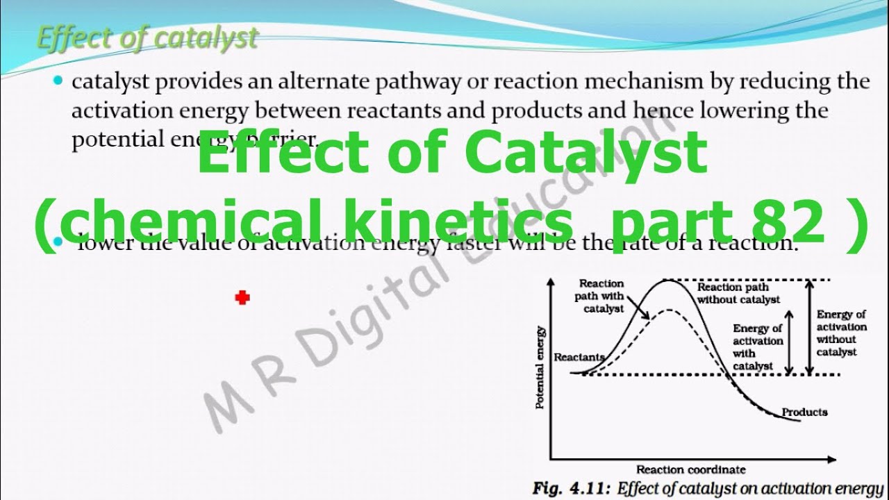 Catalysts Role In Chemical Reactions At Faith Sager Blog