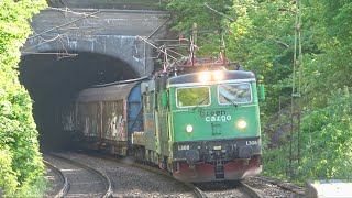 Trains in Jonsered - May 2024