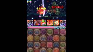 【パズドラ】星空の神域 神々の王 闇シヴァPT