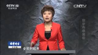 孩子坠楼真相【法律讲堂  20160410】