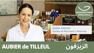 🌿AUBIER de TILLEUL | Dr. Nadia Aiouch 👩🏻‍⚕️ | HERBORISTERIE PRINCIPALE ® | CASABLANCA | MAROC 🇲🇦