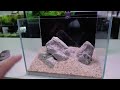 nano ecosystem fish tank you can put anywhere