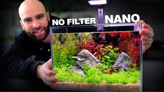 Nano Ecosystem Fish Tank You Can Put Anywhere!