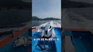 최신형 선외기 시운전 #boat #선외기 #낚시 #shorts