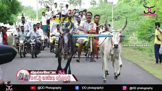 kirungakottai rekla race  (கிருங்காக்கோட்டை நடுமாடு பந்தயம் 13-08-2021