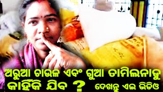 ଗୁଆ ଅରୁଆ ଚାଉଳ ସବୁ ତାମିଲ୍ ନାଡୁ ଯିବ // vijay sembali vlogs  #vkpandian #parikramaprakalpa