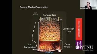 Heterogeneous Combustion in Porous Media (Prof. Matthias Ihme)